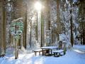 Titelbild für Weihnachten im Thüringer Wald