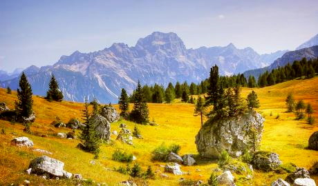 Herbsttage in Südtirol mit Almabtrieb