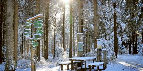 Titelbild für Weihnachten im Thüringer Wald