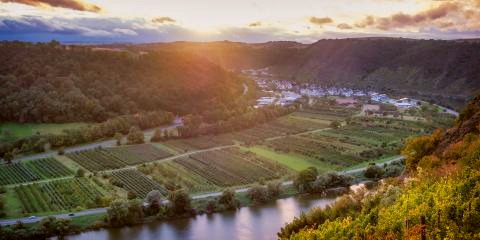 Titelbild für Auf Rhein und Mosel im goldenen Herbst