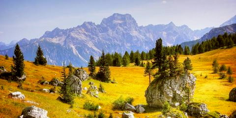 Titelbild für Herbsttage in Südtirol mit Almabtrieb